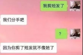 南京辛杰斯催收：专业高效的债务追收服务解析